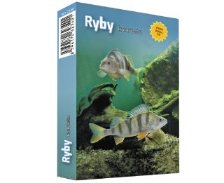 Obrázek z Kvarteto ryby  